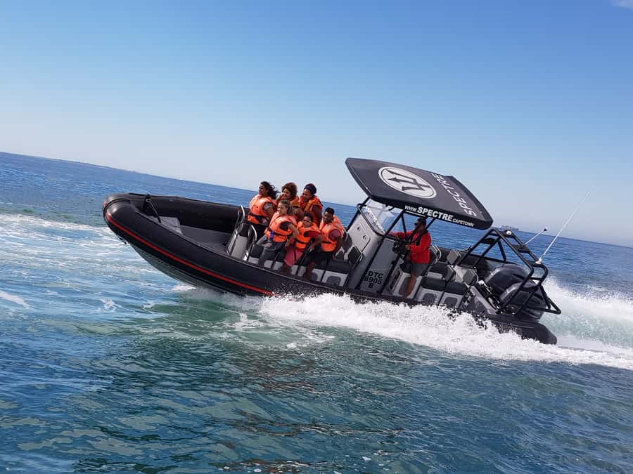 Cape Town Ocean Safari: Speed Boat Adventure in Table Bay - Key points before you book