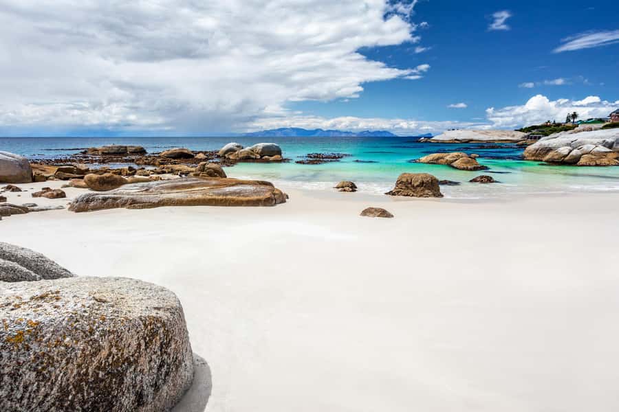 Cape Town: Penguin Watching at Boulders Beach Half Day Tour - Two hours at Boulders Beach