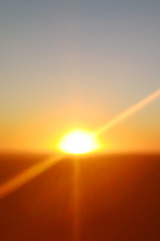 Cape Town: Penguins and Cape of Good Hope Sunset Tour - Who gets the best value from this tour?