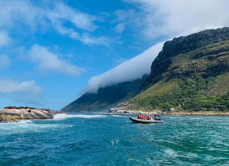 Cape Town: Penguins & Cape of Good Hope Day Tour with Pickup - Key points to know before you book