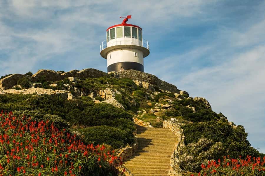 Cape Town: Penguins & Cape of Good Hope Day Tour with Pickup - Hout Bay and the optional Duiker Island boat