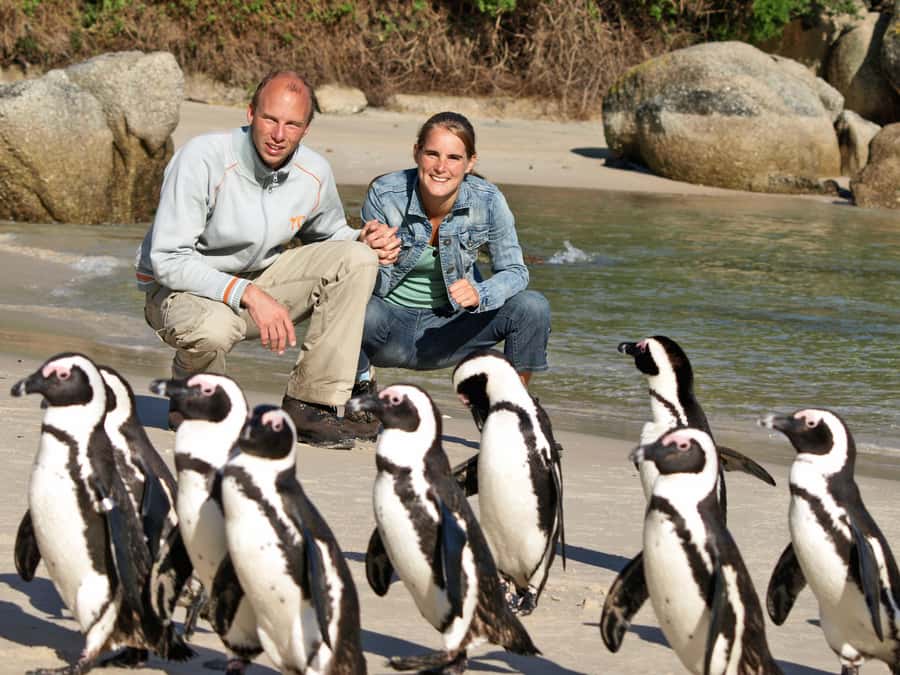 Cape Town: Penguins & Cape of Good Hope Half Day Shared Tour - From Muizenberg beach huts to Simon’s Town