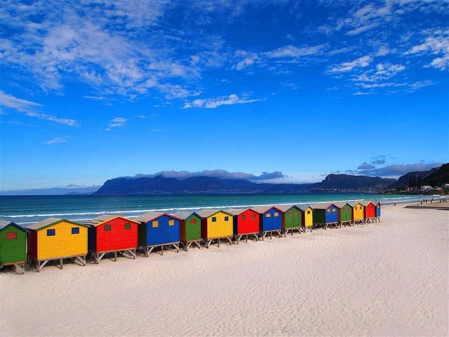Cape Town: Penguins & Cape of Good Hope Half-Day Tour - Key points to know before booking