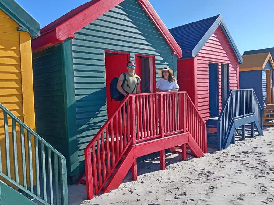 Cape Town: Penguins & Cape of Good Hope Half-Day Tour - Who should book this tour?