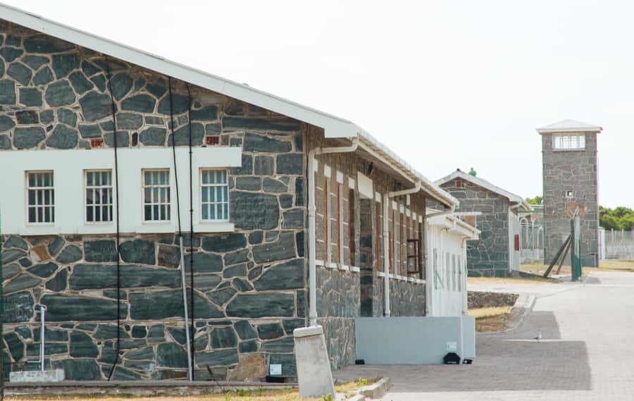 Cape Town: Robben Island Ferry Tour with 1-Way Hotel Pickup - Timing, waiting, and the five-hour schedule