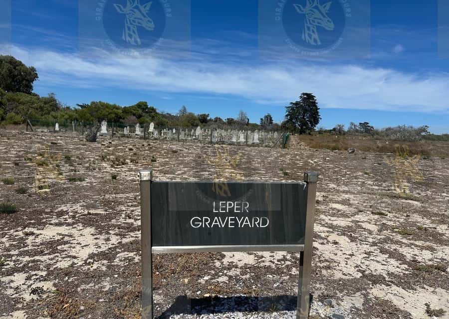 Cape Town: Robben Island Ferry with Prison Ticket and Tour - Starting at the Nelson Mandela Gateway