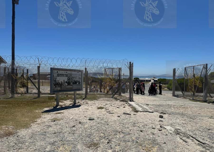 Cape Town: Robben Island Ferry with Prison Ticket and Tour - Who should book this Robben Island tour?