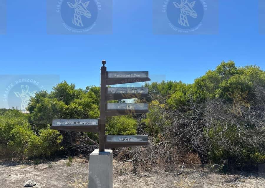 Cape Town: Robben Island Ferry with Prison Ticket and Tour - Should you book it?
