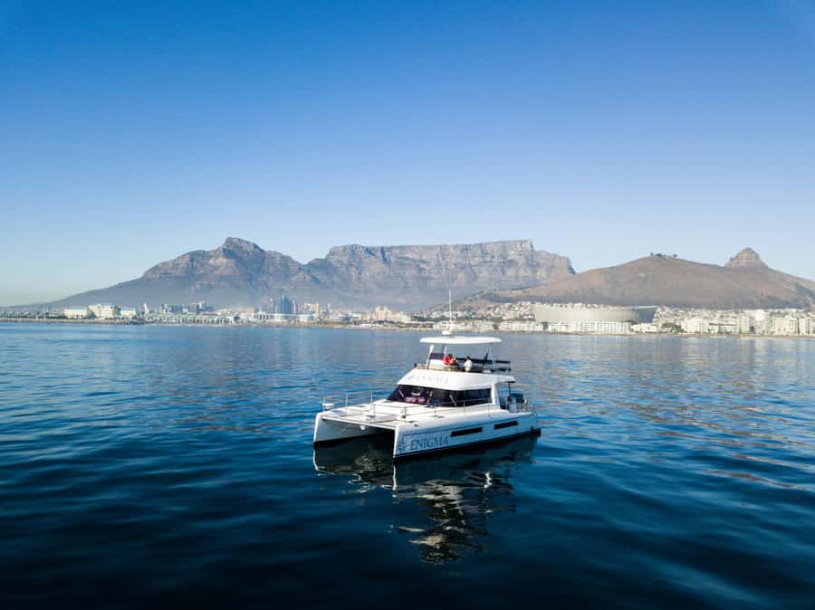 Cape Town: Scenic 1-Hour Coastal Catamaran Cruise - What the power catamaran ride feels like