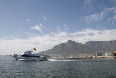 Scenic 1-Hour Coastal Catamaran Cruise