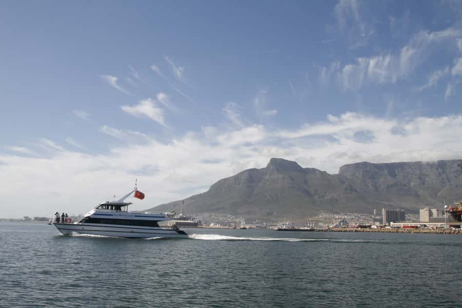 Cape Town: Scenic 1-Hour Coastal Catamaran Cruise - Weather, spray, and the question of comfort