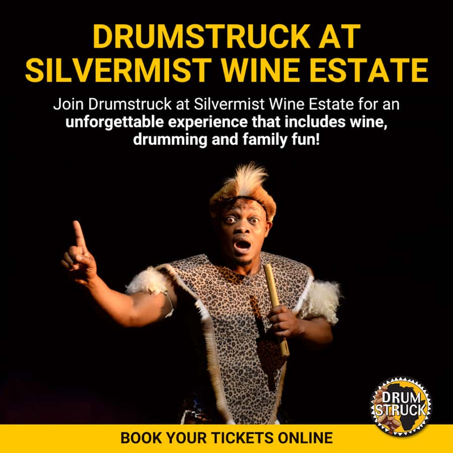 Cape Town: Silvermist Estate Wine Tasting & Drumstruck Show - Drumstruck puts your hands to work