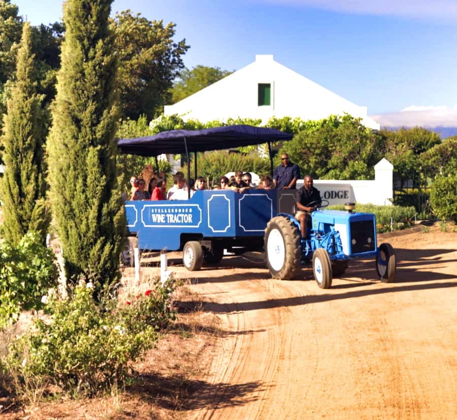 Cape Town: Stellenbosch Hop-On Hop-Off Tractor Transfer - Key points at a glance