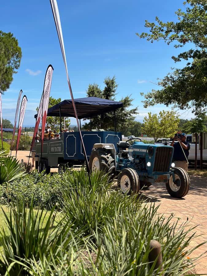 Cape Town: Stellenbosch Hop-On Hop-Off Tractor Transfer - What happens at each wine farm