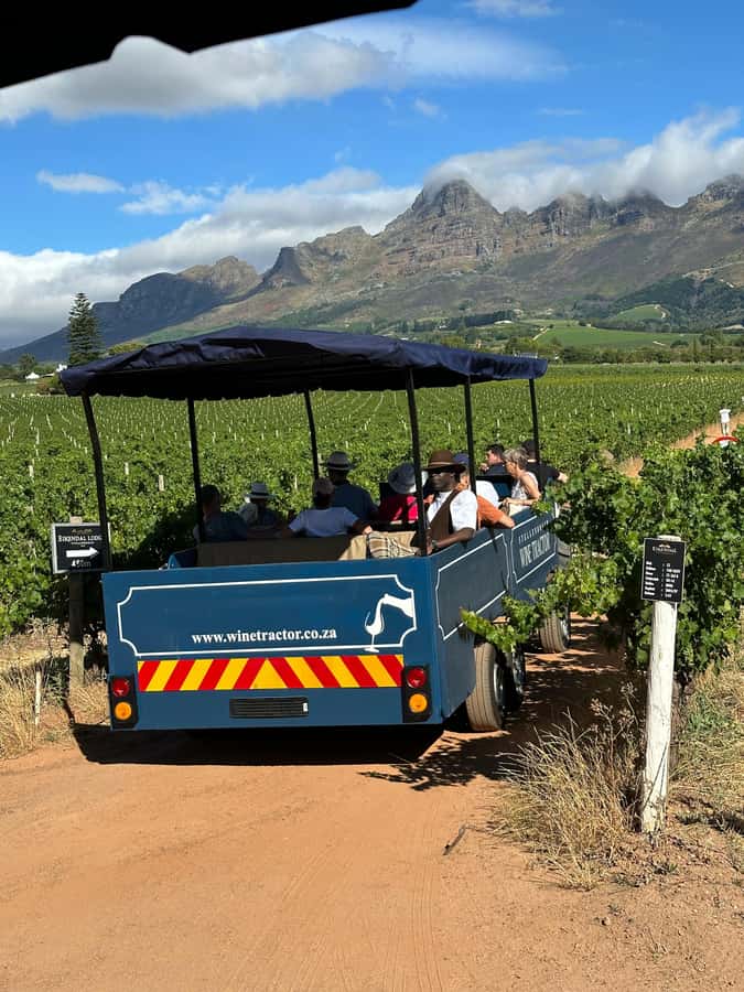 Cape Town: Stellenbosch Hop-On Hop-Off Tractor Transfer - Comfort, weather, and accessibility