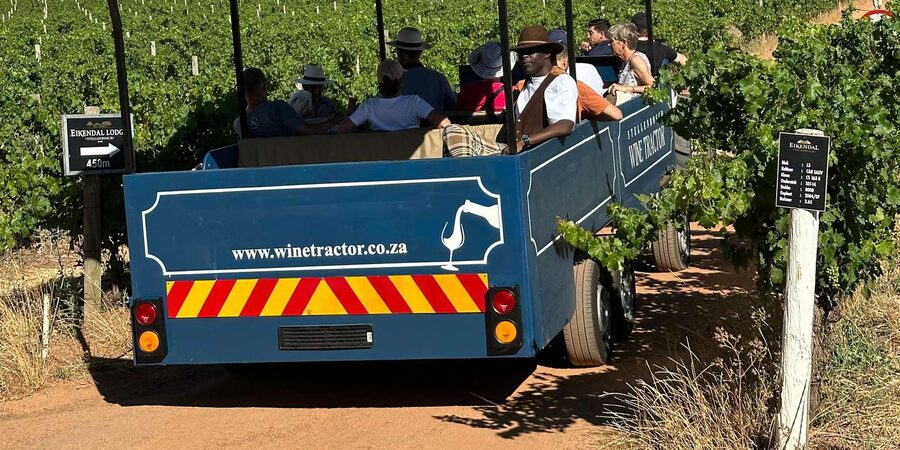 Cape Town: Stellenbosch Hop-On Hop-Off Tractor Transfer - Who should book this experience