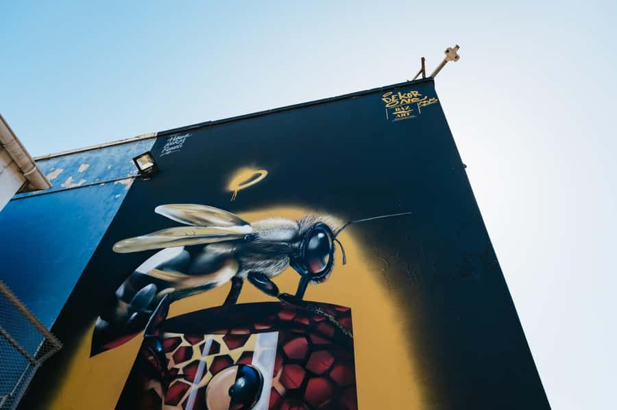 Cape Town: Street Art Walking Tour in Woodstock - Woodstock Brewery and the walk between stops