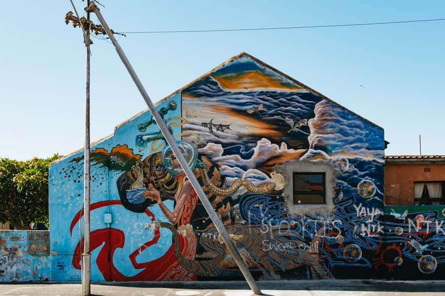 Cape Town: Street Art Walking Tour in Woodstock - Salt River Nature Park and the final neighborhood walk