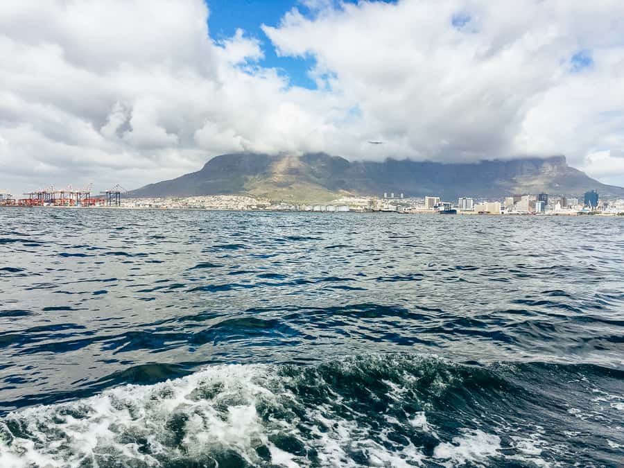 Cape Town: Sunset Champagne Cruise - How the crew affects the experience