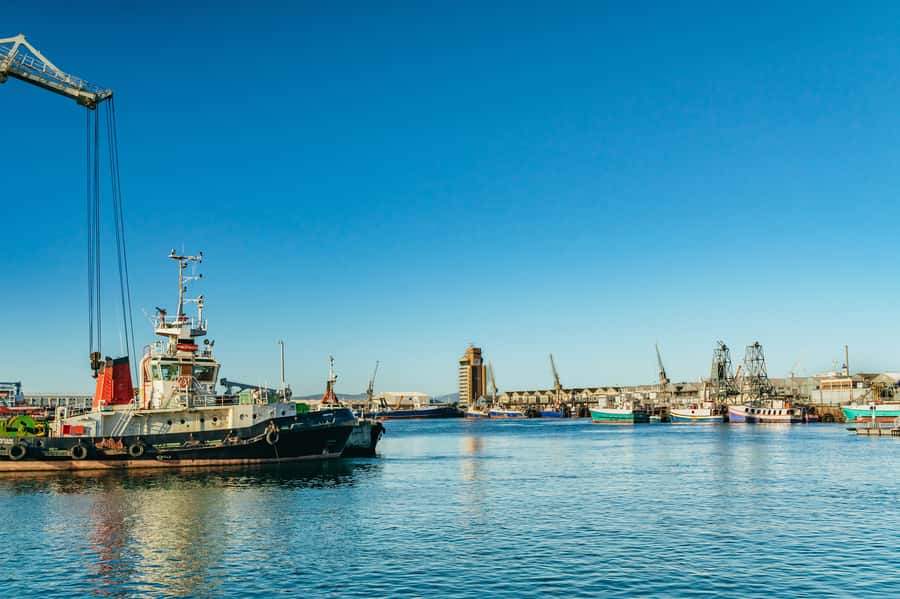 Cape Town: Sunset Champagne Cruise and 3-Course Dinner - Choosing City Grill or Raj