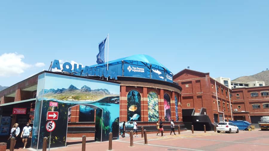 Cape Town: Table Mountain and Robben Island Tour - Should you book it?