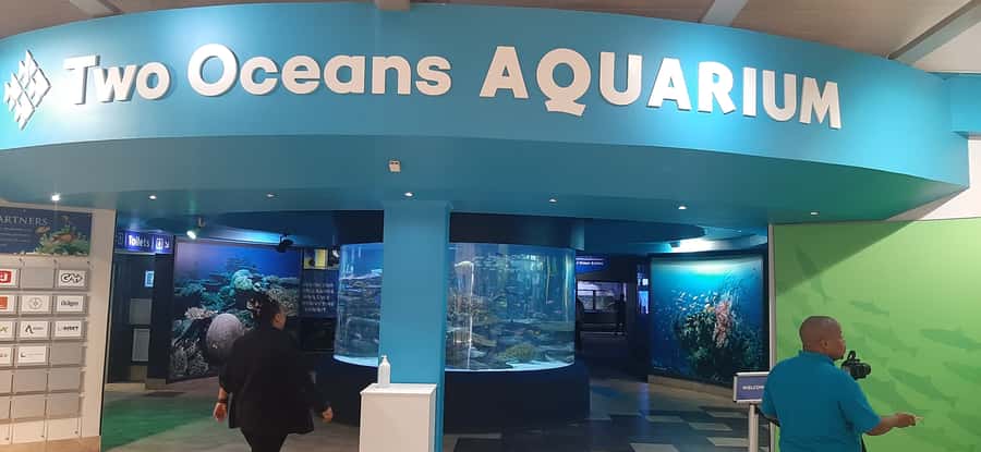 Cape Town: Table Mountain and Robben Island Tour - The V&A Waterfront break between major stops