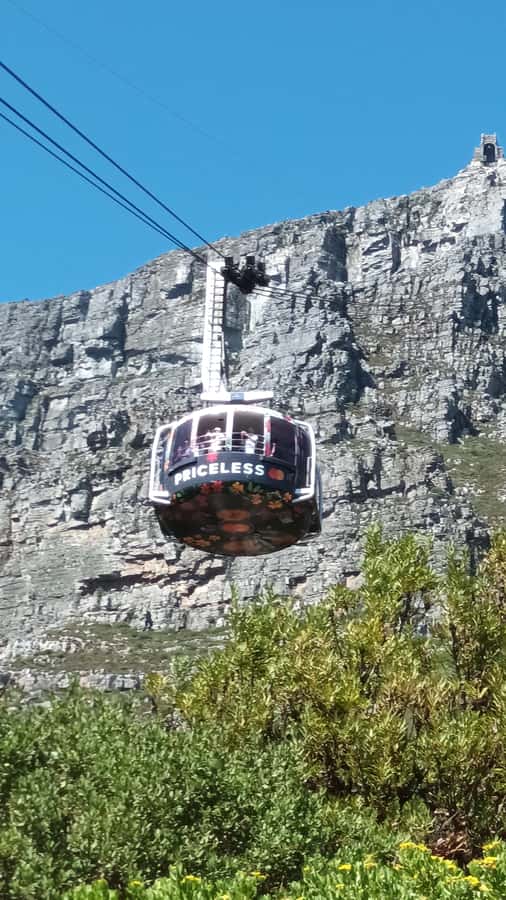 Cape Town: Table Mountain Cable Car Ticket - What to bring and how to plan the day