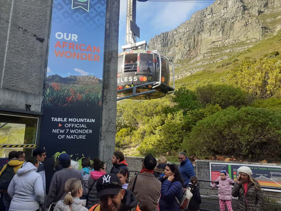 Cape Town: Table Mountain, Cape Point, & Penguins Group Tour - A big Cape Town day in one sweeping loop