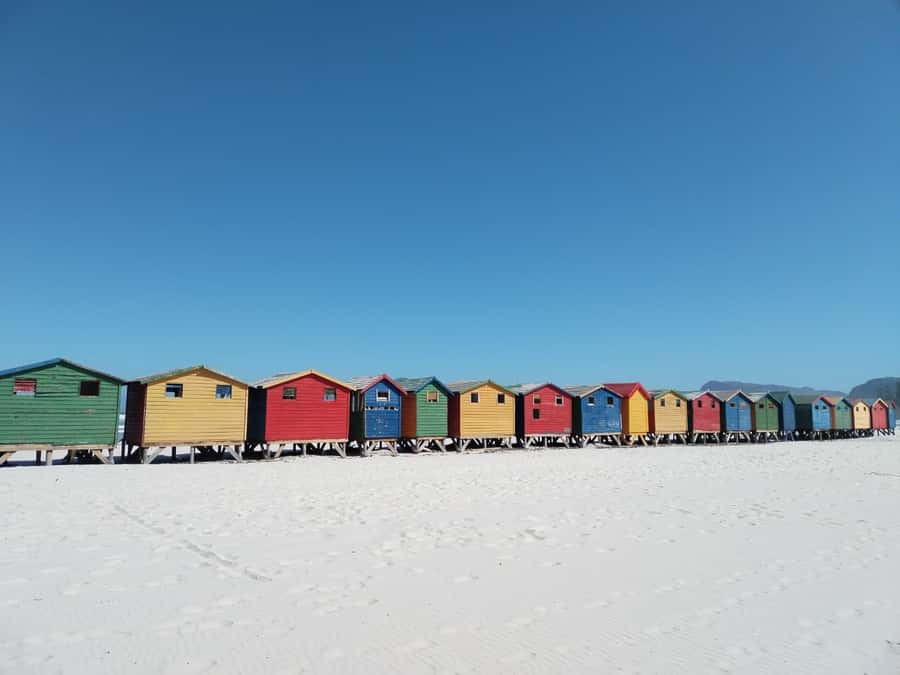 Cape Town: Table Mountain, Cape Point, & Penguins Group Tour - Muizenberg’s beach huts and Bo-Kaap’s painted houses