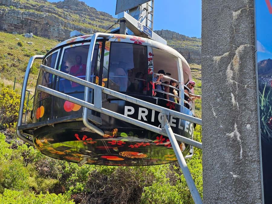 Cape Town: Table Mountain, Cape Point, & Penguins Group Tour - Table Mountain, the day’s essential view