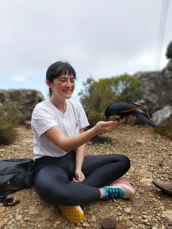 Cape Town: Table Mountain Hike with an Expert Guide - Choosing a route for your legs and nerves