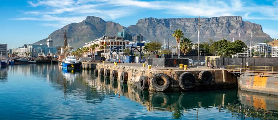 Cape Town Tour: Table Mountain, Penguins & Cape Point+Pickup - Boulders Beach lets you watch African penguins