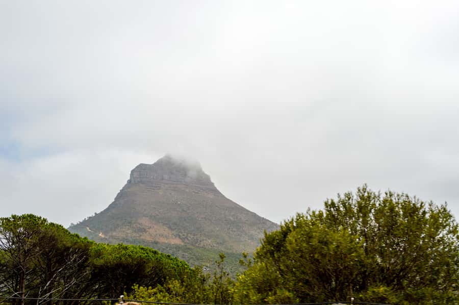 Cape Town Uncovered : Half-Day City Tour and Table Mountain - Signal Hill gives you a different view