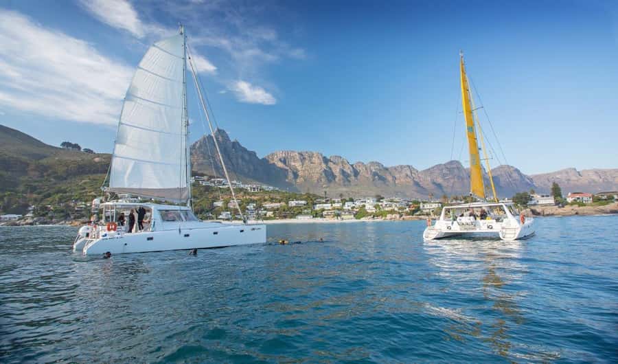Cape Town: V&A Waterfront Gin Voyage Cruise - A one-hour gin cruise with a sea view