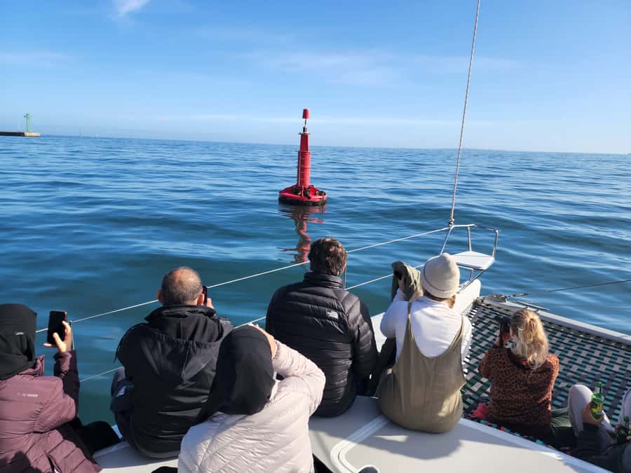 Cape Town: V&A Waterfront Gin Voyage Cruise - Who will enjoy the Gin Voyage most