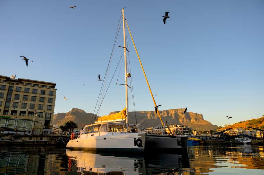 Cape Town: V&A Waterfront Gin Voyage Cruise - The first drink: a welcome to the Atlantic