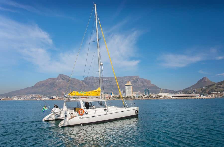 Cape Town: V&A Waterfront Gin Voyage Cruise - The colour-changing gin experiment