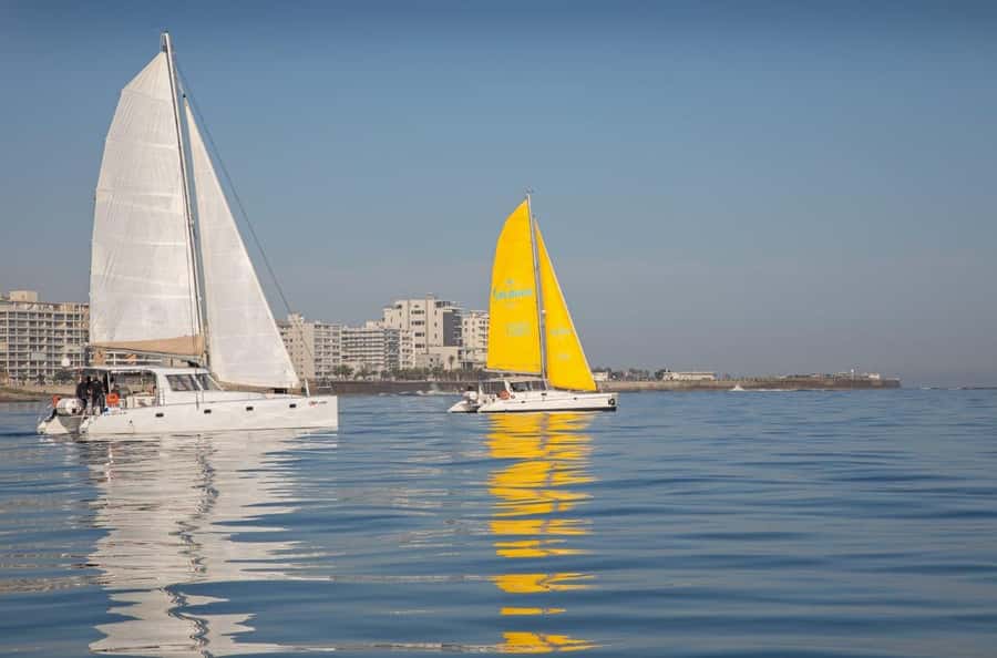 Cape Town: V&A Waterfront Gin Voyage Cruise - Coastal views of Table Mountain and Lion’s Head