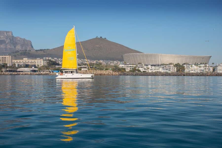 Cape Town: V&A Waterfront Gin Voyage Cruise - Watching for dolphins, penguins, and seals