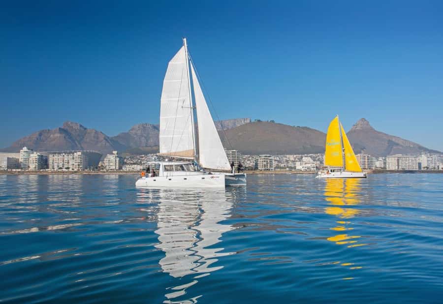 Cape Town: V&A Waterfront Gin Voyage Cruise - Is $37 a fair price?