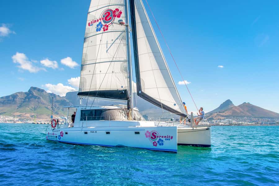Cape Town Waterfront and Bay: Sailing Trip - Who should book this boat trip?
