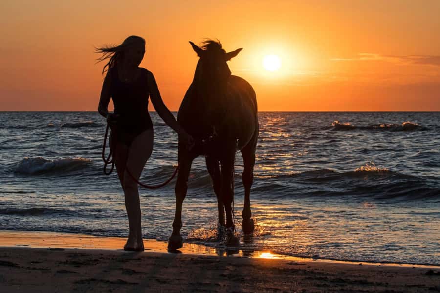 Casablanca: Beach Horseback Riding with Hotel Transfers - Key points at a glance
