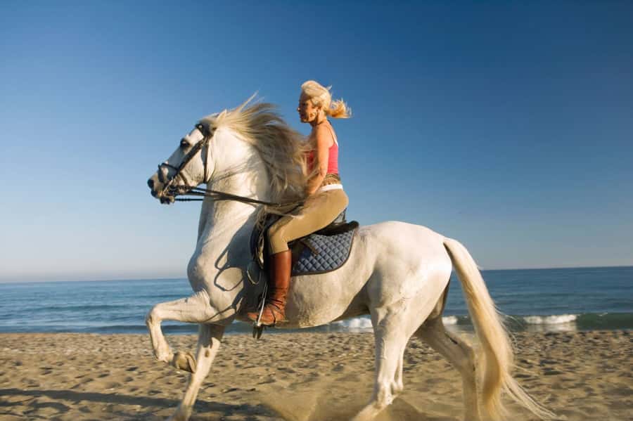 Casablanca: Beach Horseback Riding with Hotel Transfers - Should you book this Casablanca horse ride?