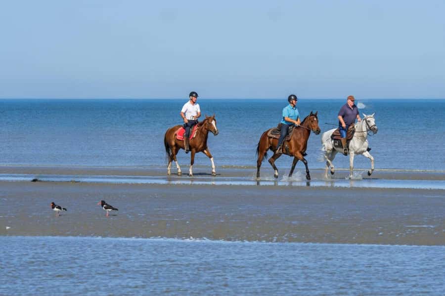 Casablanca: Beach Horseback Riding with Hotel Transfers - Leaving Casablanca for the coast
