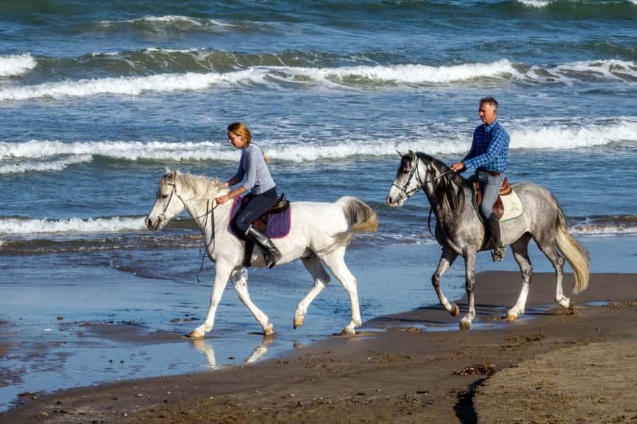 Casablanca: Beach Horseback Riding with Hotel Transfers - One hour beside the Atlantic