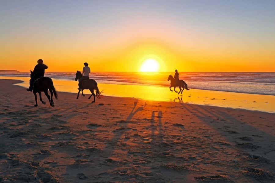 Casablanca: Beach Horseback Riding with Hotel Transfers - The beach is beautiful, but not spotless
