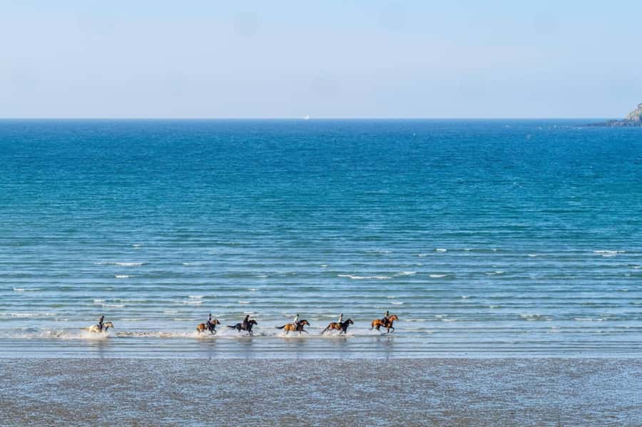 Casablanca: Beach Horseback Riding with Hotel Transfers - The farm adds a simple rural touch