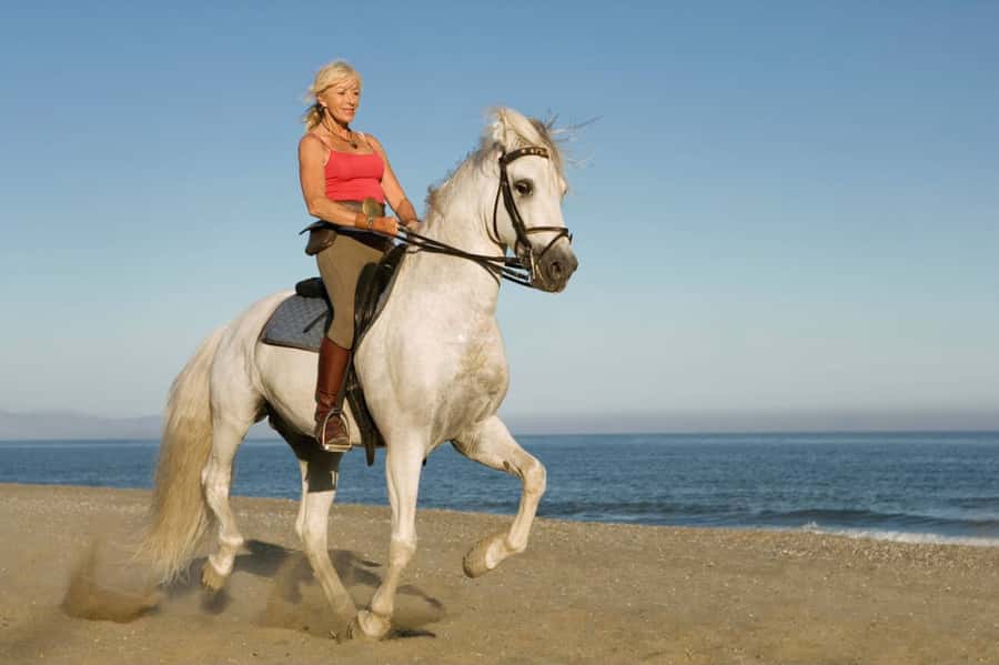 Casablanca: Beach Horseback Riding with Hotel Transfers - What $46 buys you