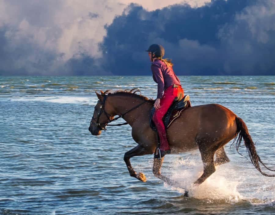 Casablanca: Beach Horseback Riding with Hotel Transfers - Timing, comfort, and practical tips