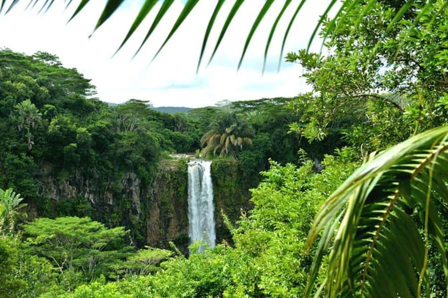 Chamarel: Southwest Mauritius Private Guided Day Tour - Trou aux Cerfs gives you a strong start